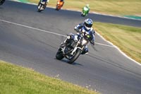 Lower Group White Bikes